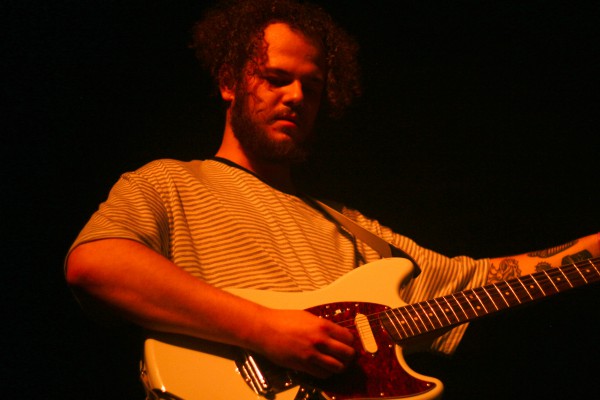 transfer, 2019, transbordeur, beak, toy, ditz, lice