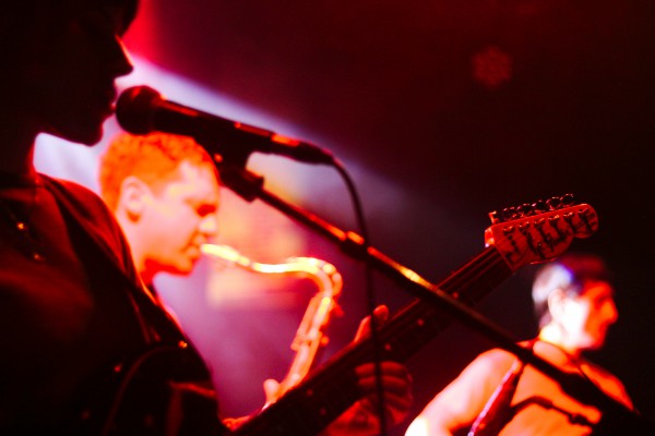 transfer, 2019, transbordeur, beak, toy, ditz, lice