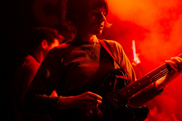 transfer, 2019, transbordeur, beak, toy, ditz, lice