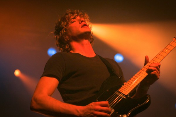 transfer, 2019, transbordeur, beak, toy, ditz, lice