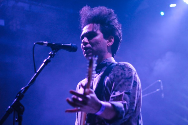 transfer, 2019, transbordeur, beak, toy, ditz, lice