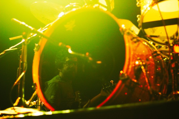 transfer, 2019, transbordeur, beak, toy, ditz, lice