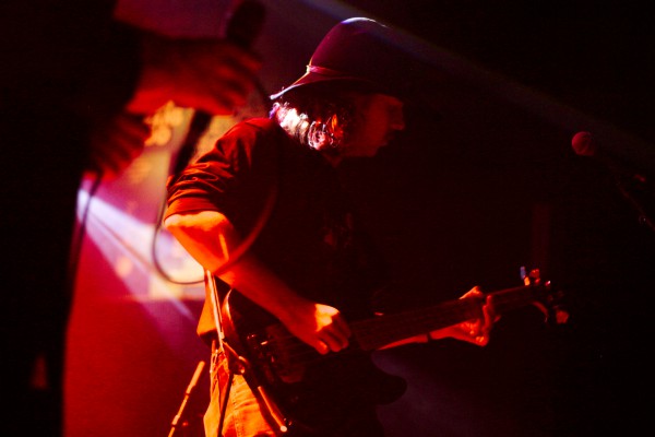 transfer, 2019, transbordeur, beak, toy, ditz, lice