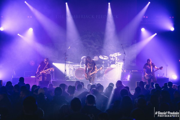 betizfest, 2019, the lumberjack feedback