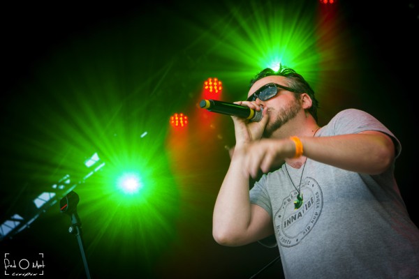 verjux saône system, 2019, innavibe