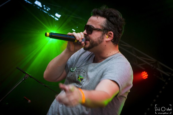 verjux saône system, 2019, innavibe