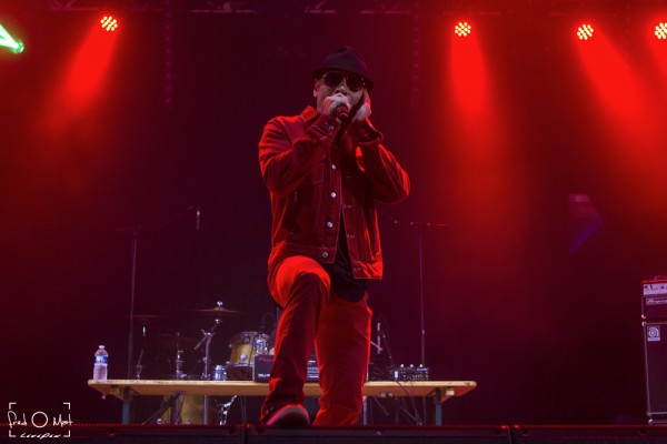 verjux saône system, 2019, nuttea