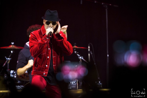 verjux saône system, 2019