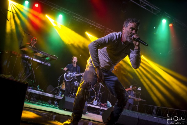 verjux saône system, 2019, pierpoljak