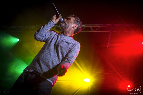 verjux saône system, 2019, pierpoljak