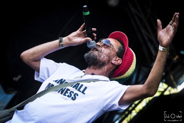 nomade reggae festival, 2019, brother culture