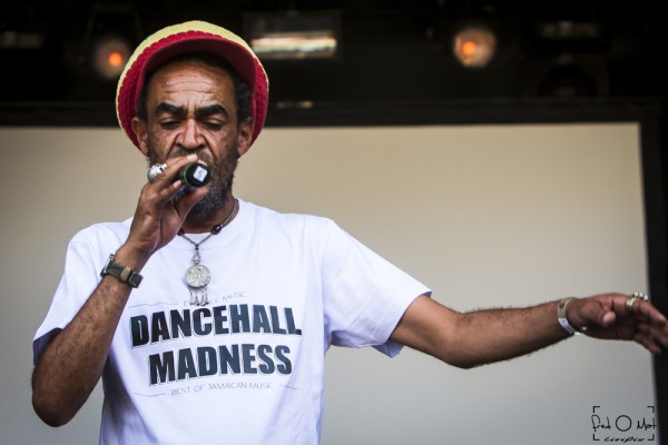 nomade reggae festival, 2019, brother culture