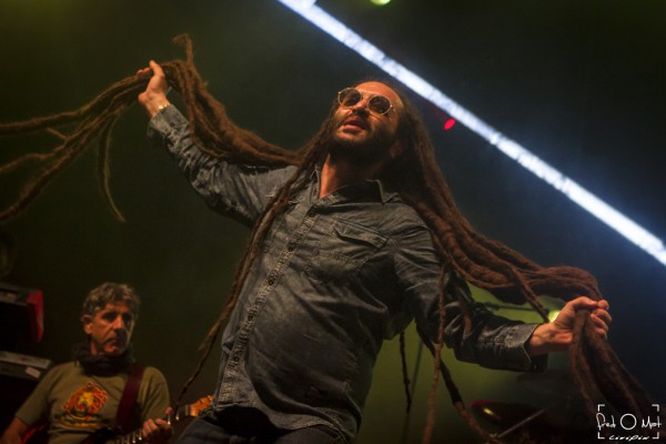 nomade reggae festival, 2019, alborosie