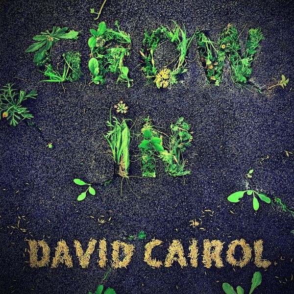 Artwork Grow In - David Cairol
