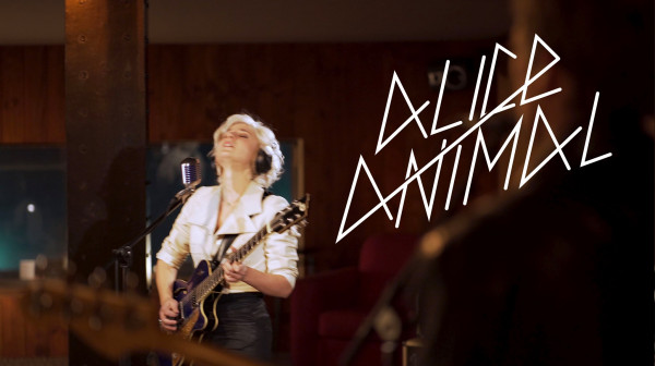 alice animal, mon or, tandem