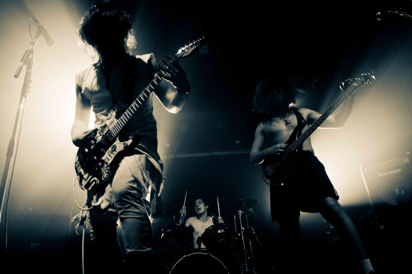 bill the dog, interview