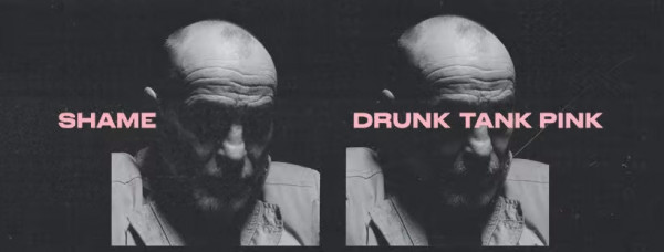 shame, water in the well, drunk tank pink, nouvel album