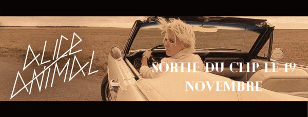 alice animal, tes éléphants roses