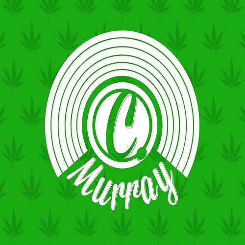 Visuel Camille Murray