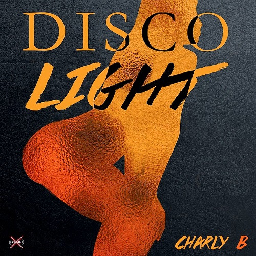 Visuel Disco Light - Charly B