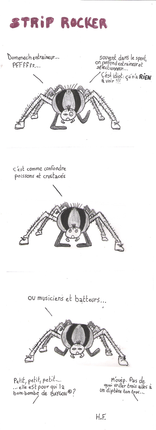 Domenech entraineur ? Pfffff... Souvent, dans le sport, on confond entraineur et sélectioneur. C'est  idiot :ça n'a rien à  voir !!! C'est comme confondre poissons et crustacés. Ou musiciens et batteurs...