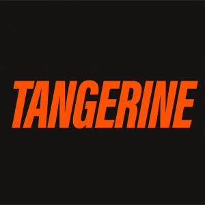 ANIKA – ELLES ONT CHANGÉ LA FACE DU DISQUE #2 | TANGERINE