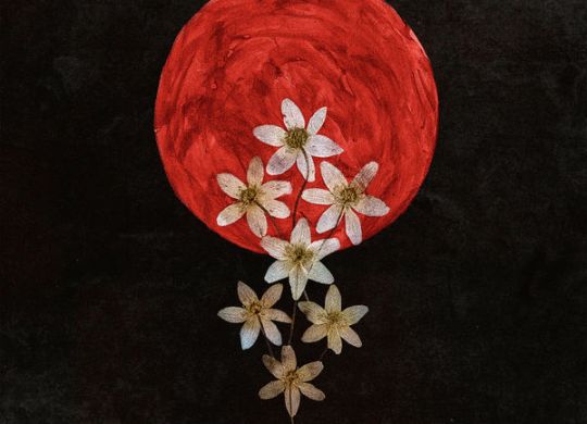 Swallow the Sun Moonflowers album