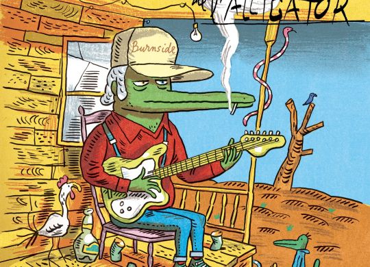 Affiche Nuits de l'Alligator 2022