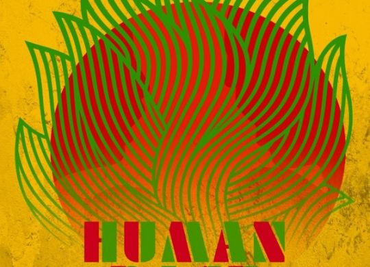 Groundation - human race