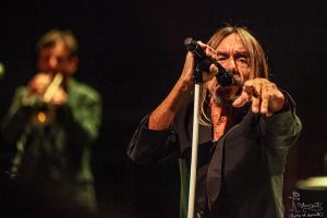 Iggy Pop à Toulouse le 16/05/2022