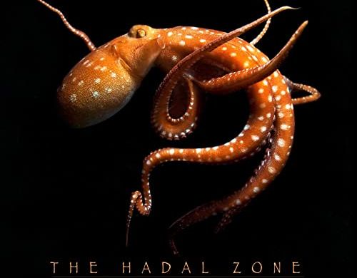 guitare, instrumental, Pink Floyd, Jordan Rudess, Opal Ocean, prog