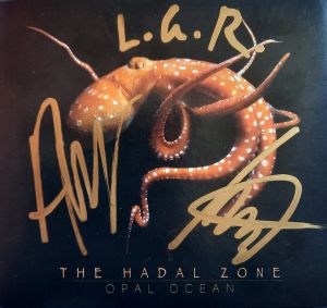 Opal Ocean aux Frigos de Metz le 27.08.2022