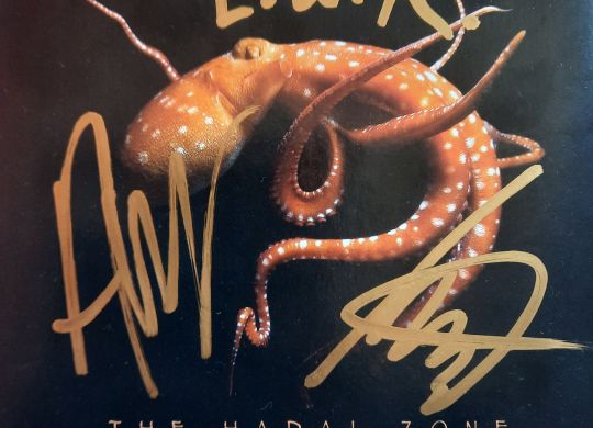 guitare, instrumental, Pink Floyd, Jordan Rudess, Opal Ocean, prog, The White Stripes, System of a Down, les Frigos, Metz