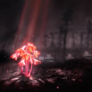 Enter Shikari – A Kiss For The Whole World