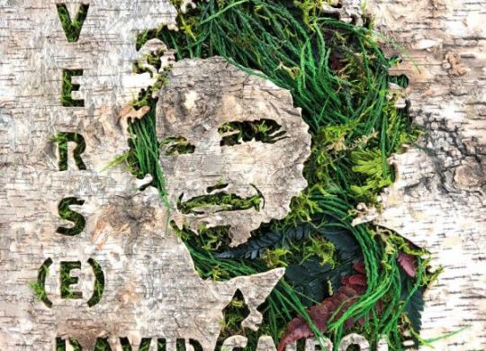 David Cairol-Vers(e) pochette album