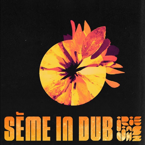 Irie Jahzz - Séme In Dub
