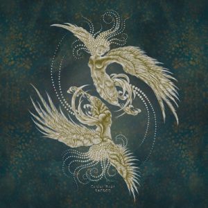 Colour Haze : deux passages en France en novembre !