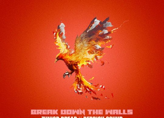 Junior Dread - Break Down The Walls