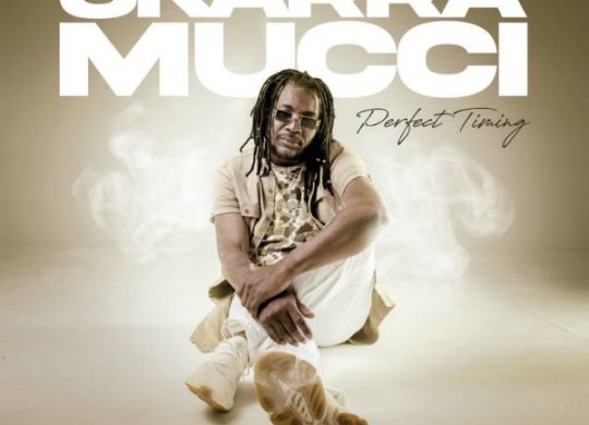 Skarra Mucci - Mistry Babylon