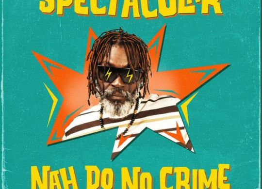 Spectacular X Krak In Dub - Nah Do No Crime
