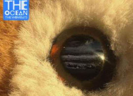 Capture d’écran 2024-10-09 à 16.47.34