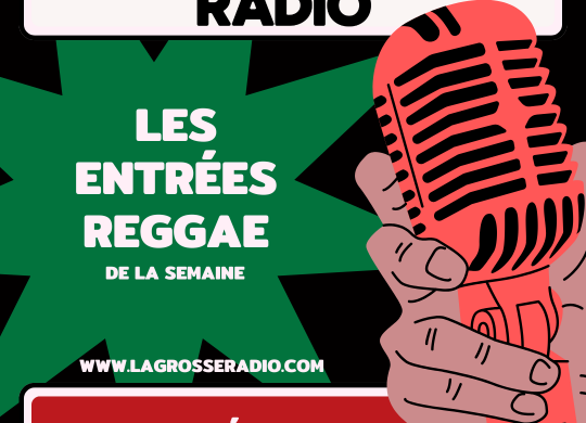 La Grosse Radio Reggae : les entrées à l'antenne ! #19