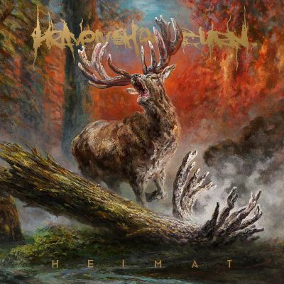 heimat heaven shall burn pochette