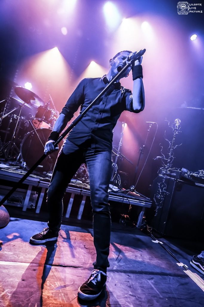 TheOldDeadTree_Trabendo_2025_