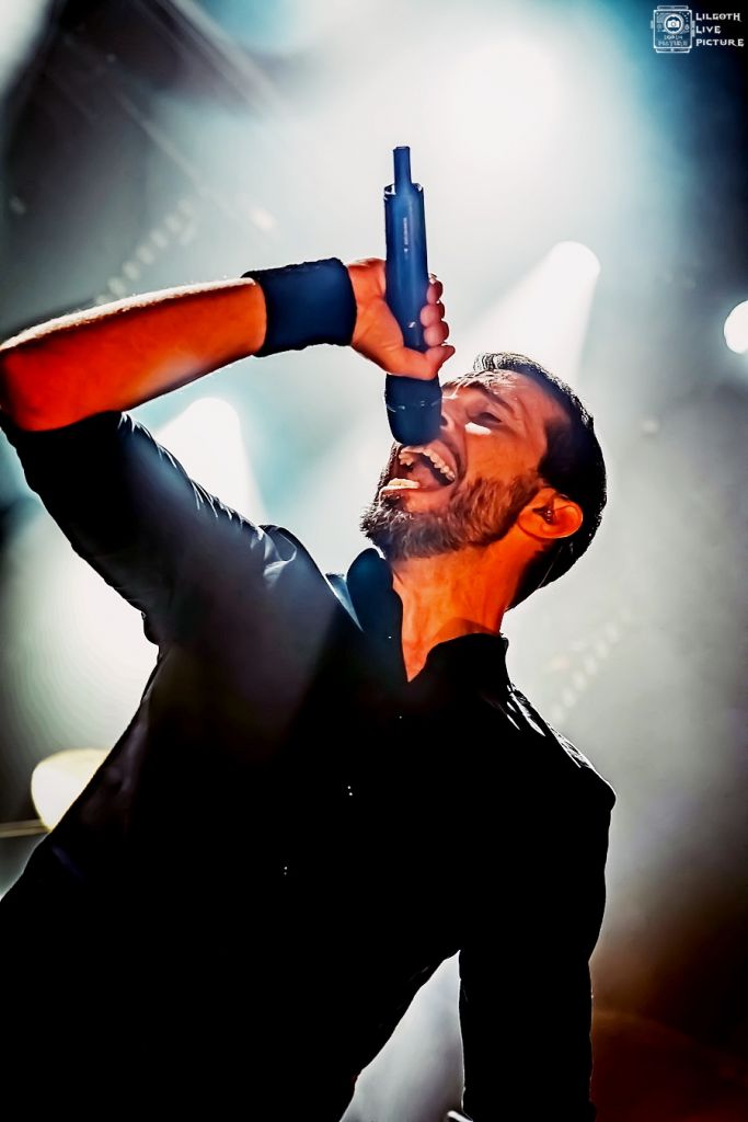 TheOldDeadTree_Trabendo_2025_