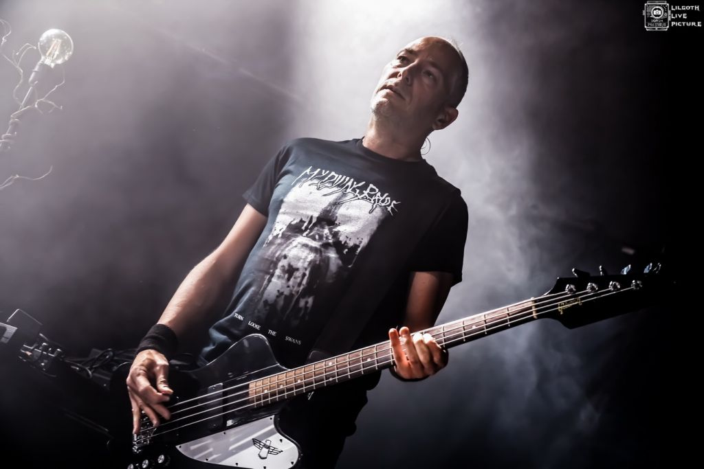 TheOldDeadTree_Trabendo_2025_