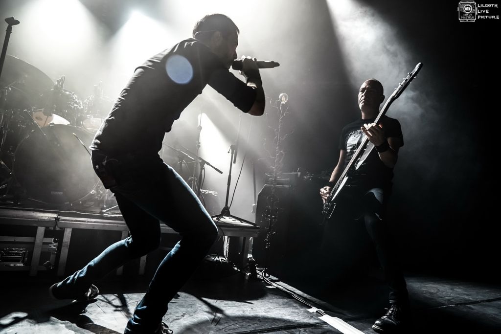 TheOldDeadTree_Trabendo_2025_