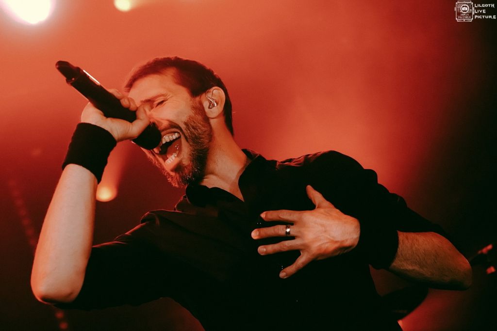 TheOldDeadTree_Trabendo_2025_