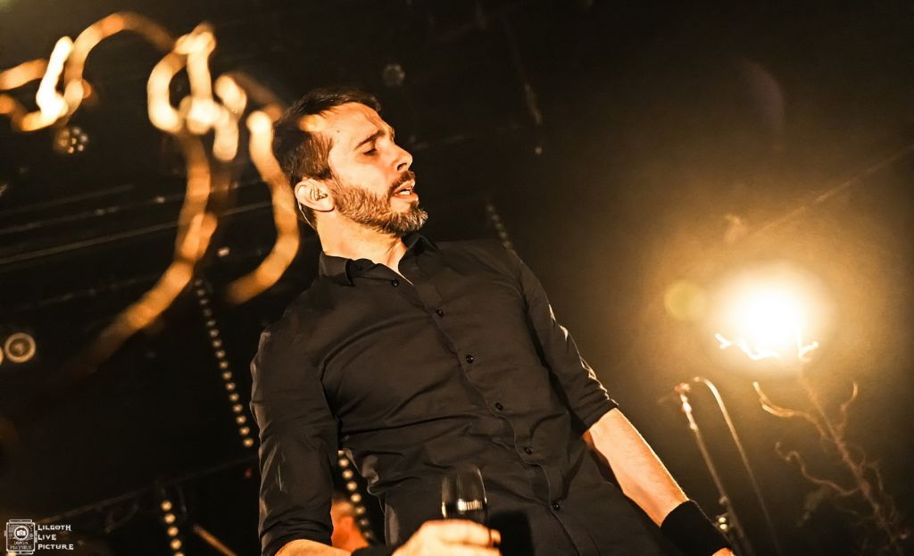 TheOldDeadTree_Trabendo_2025_